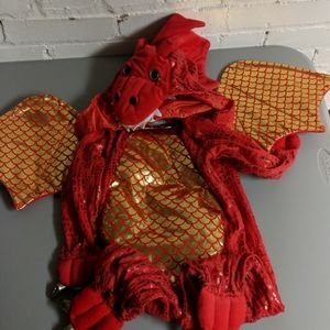 Pottery barn kids dragon costume